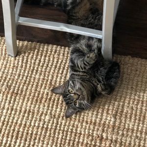 Meet your Posher, Ryan